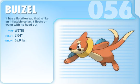 buizel.jpg