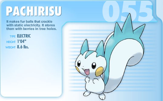 pachirisu.jpg